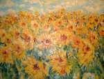 Pole slunečnic / Feald of Sunflowers